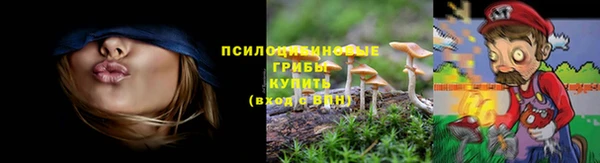 мет Вяземский