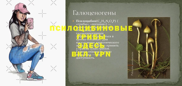 мет Вяземский